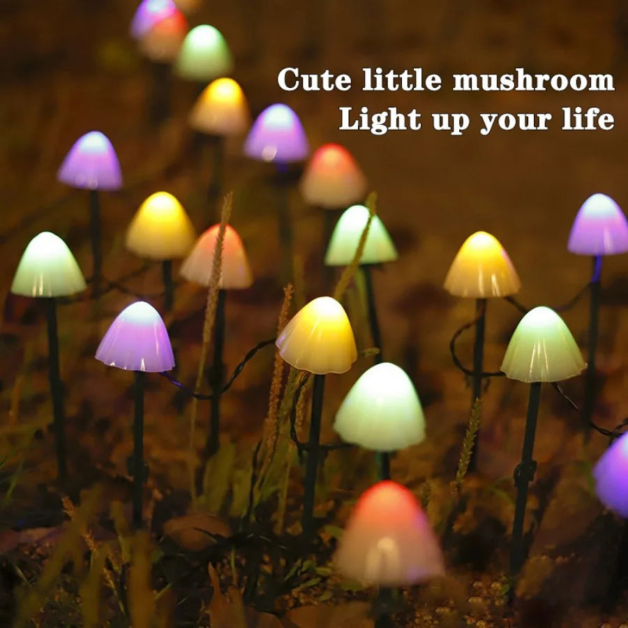 Solcellsdriven LED Svampbelysning