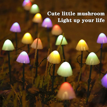 Solcellsdriven LED Svampbelysning